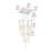 Aliha 13 - Light Cluster Pendant-1696029853