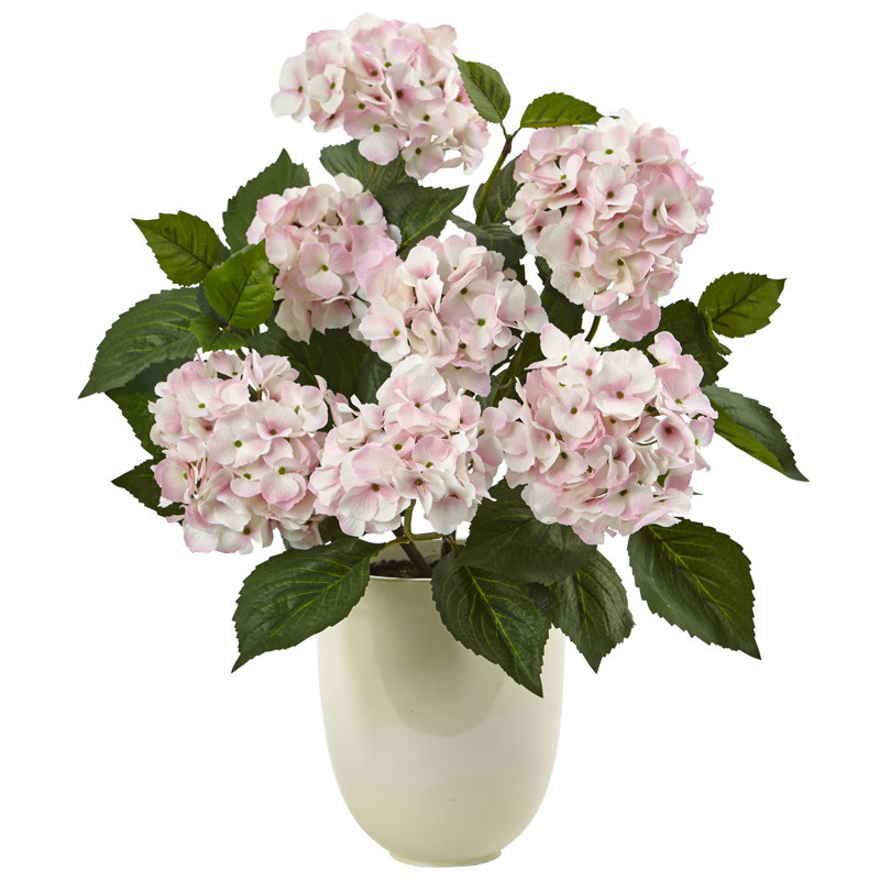 Arrangement floral hortensia dans un pot de fleurs