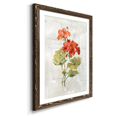 " Linen Geranium "