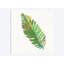 « tropical fun palms iv », impression sur toile-27895279-72483879-72483884