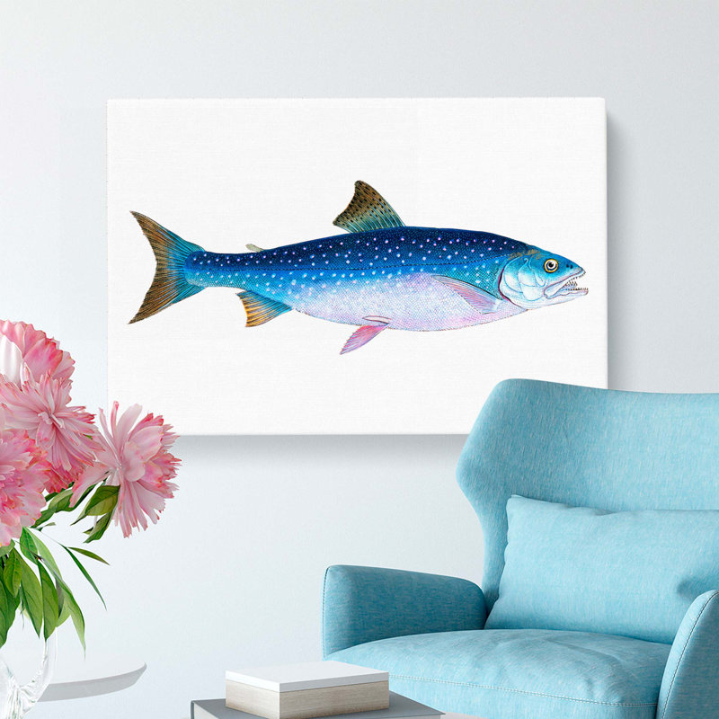 Alpine Charr Fish - Wrapped Canvas, 35cm H x 50cm W x 3cm D