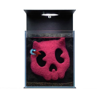 Glass+Aluminum Desktop Fish Tank