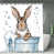 Lapin gris