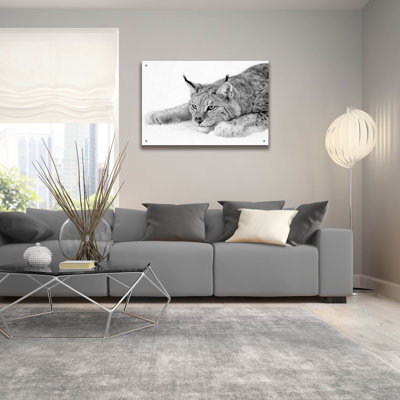 " Lynx 1 " by PhotoINC Studio