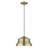 1 - Light Bell Pendant-2055759480