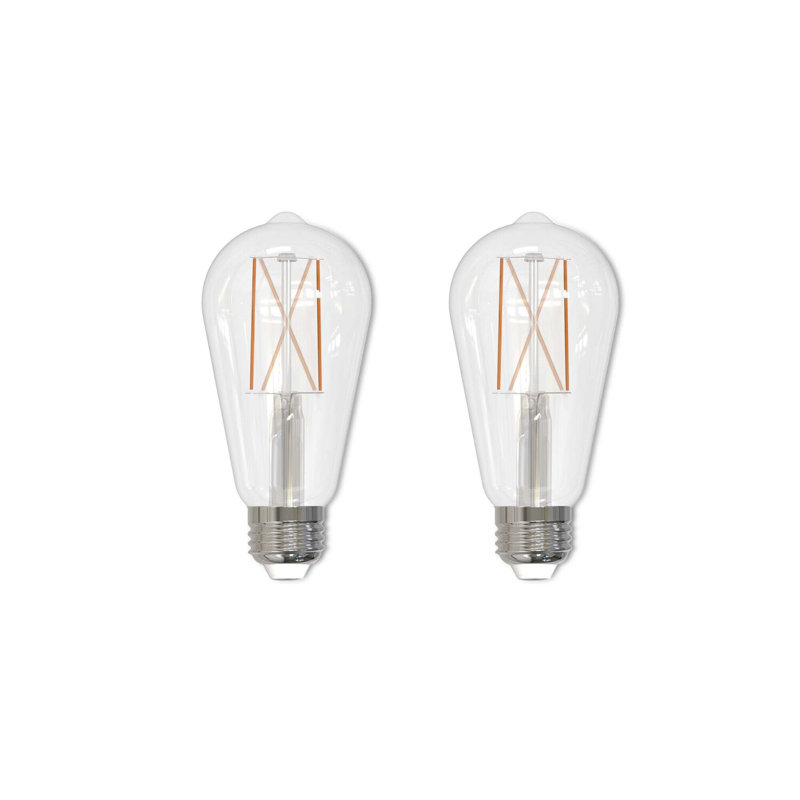 Ampoule DEL E26 équivalente à 60 watts, filament Edison ST18, blanc chaud 2 700 K, 850 lumens, intensité variable, 2
