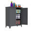 Armoire de rangement pour outils 47 po