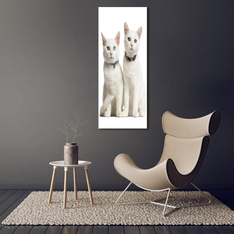 Two White Cats - Wrapped Canvas Print