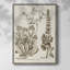 «Sepia Botanical Journal IV», reproduction encadrée - bois massif-2063927867
