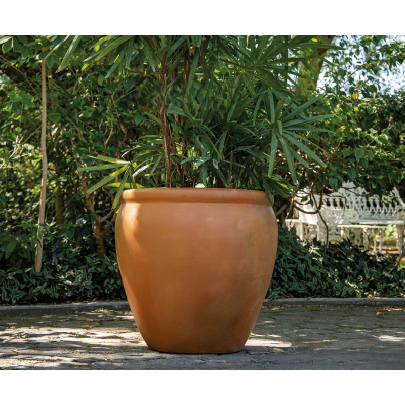 Hidalgo, Terracotta
