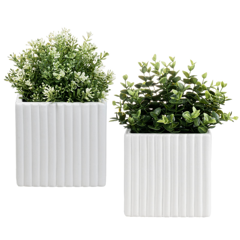 2 Piece White Ceramic Flower Planters Pots
