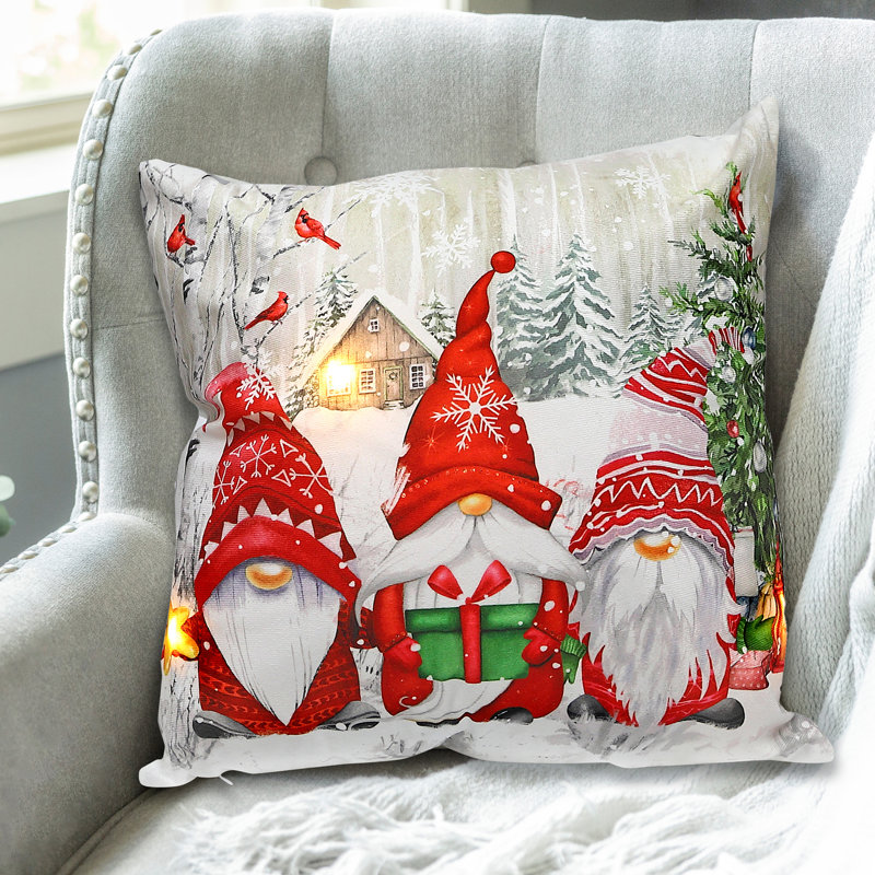 Coussin décoratif en velours