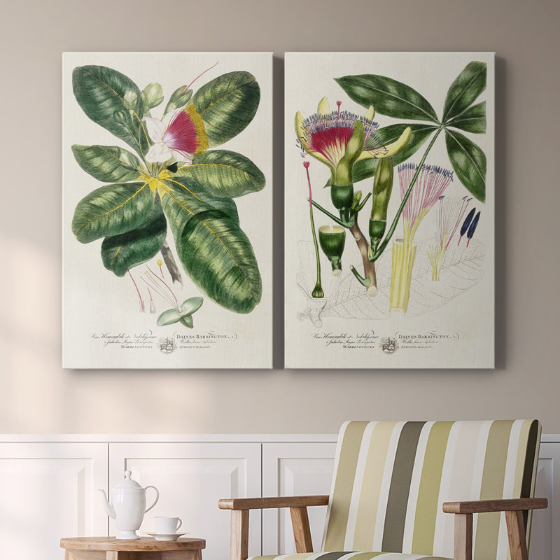 Toile tendue avec châssis Imperial I Botanical Imperial, H 36 po x l 48 po