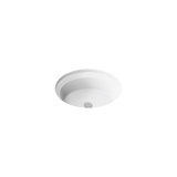 Artifacts 21-1/4 In. Oval Undermount Bathroom Sink