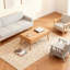 Table basse-121377059-121377058