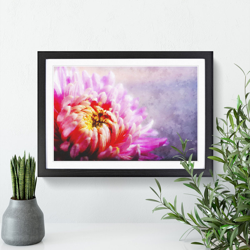 Pink Chrysanthemum Flower - Picture Frame Graphic Art, 48cm H x 65cm W x 2cm D, Black Framed