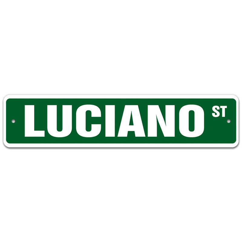 Plaque de rue Roslyn, H 6 po x l 24 po x P 0,1 po