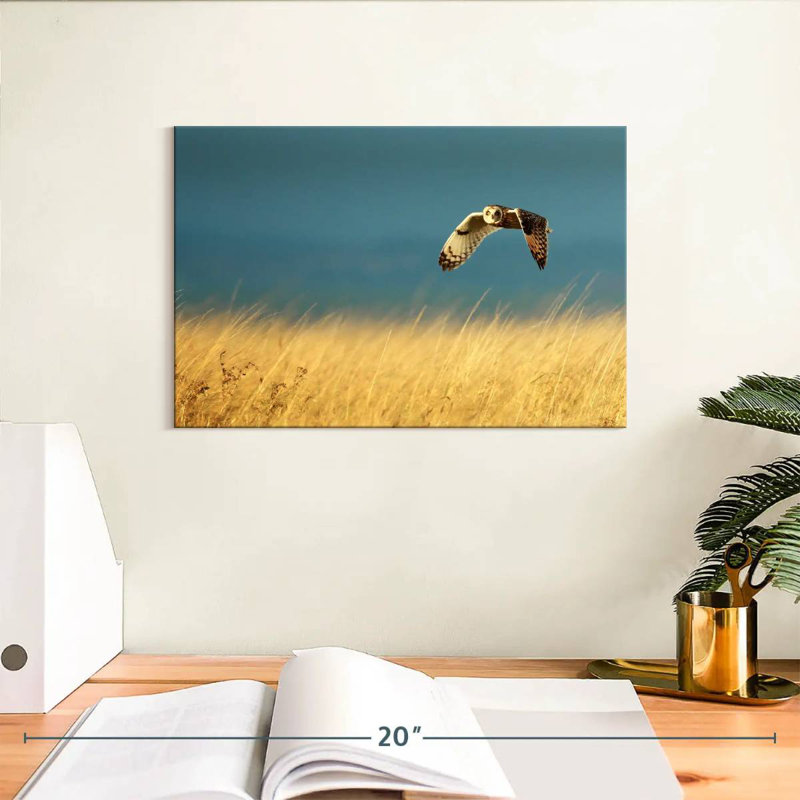 Owl In Flight, 8" H x 12" W