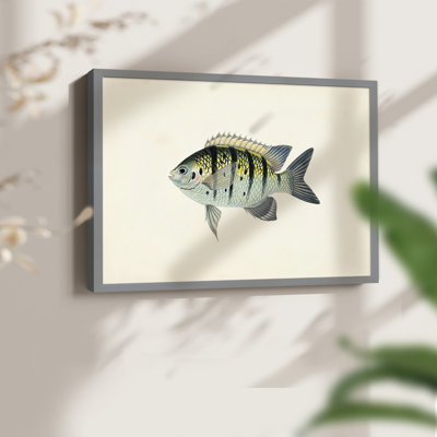 Tropical Fish Collection VI -Framed Print - Restickable