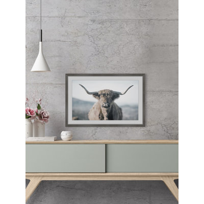 Highland Close-up - Print