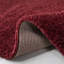 Lakely Area Rug-250047155