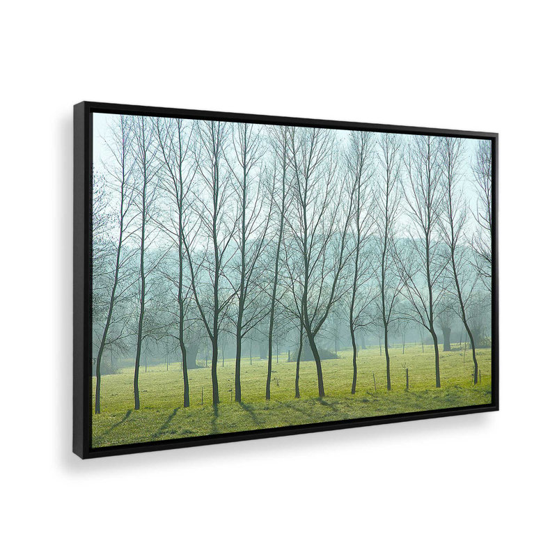 «Misty Normandy Meadow» sur toile par Caroyl La Barge, Cadre flottant noir satiné, H 14 po x l 20 po x P 1,75 po