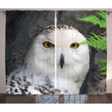 Aquan Polyester Semi Sheer Curtain Pair