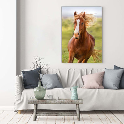 Horse In Gallop - Wrapped Canvas Print