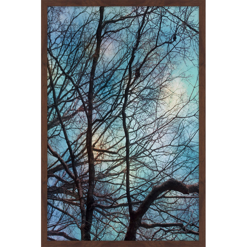 Judy Stalus - Single Picture Frame Print, 61cm H x 41cm W x 3.81cm D