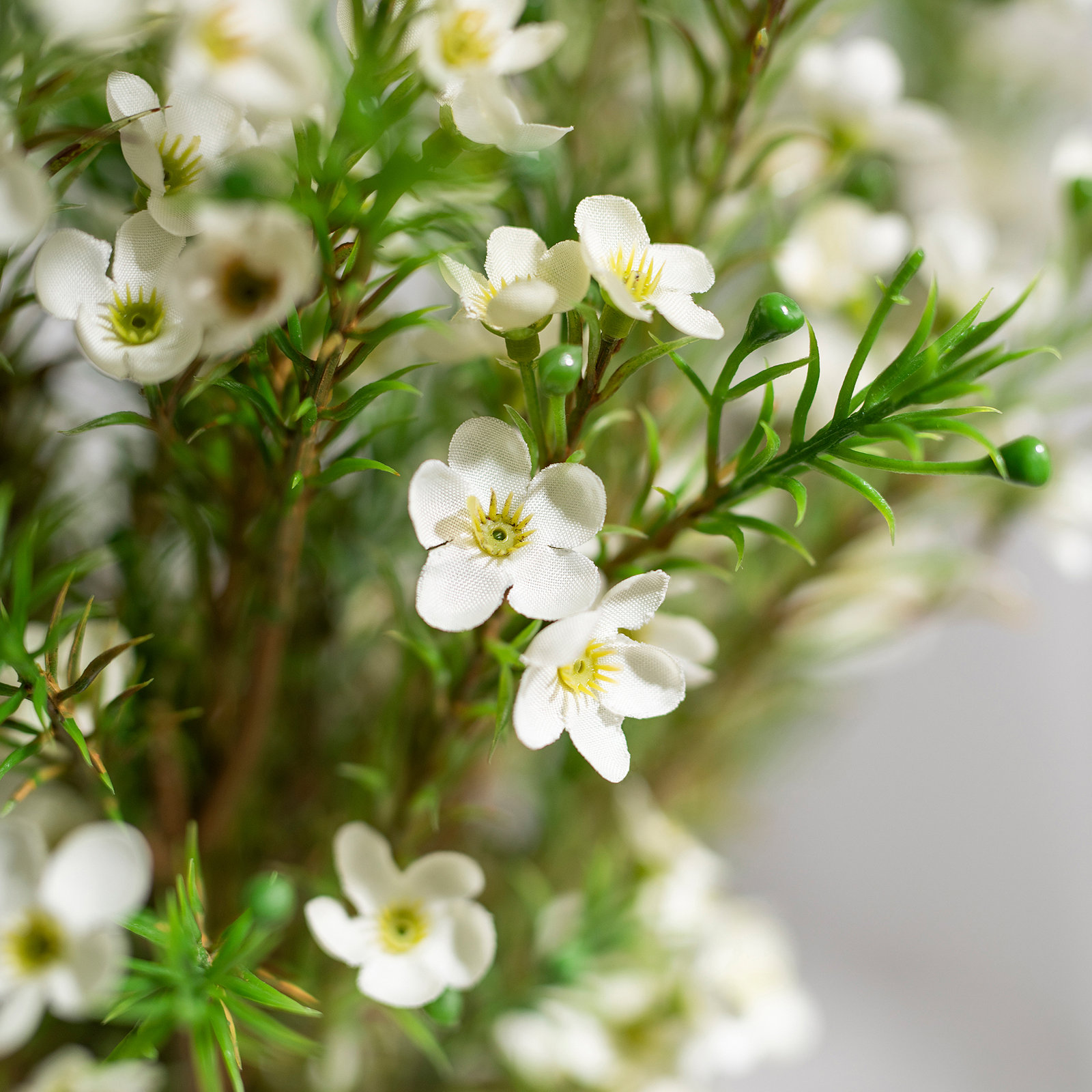 Creamy White Silk Decorative Artificial Wax flower, Cream