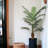 Artificial 6 Feet Tall Realistic Palm Tree