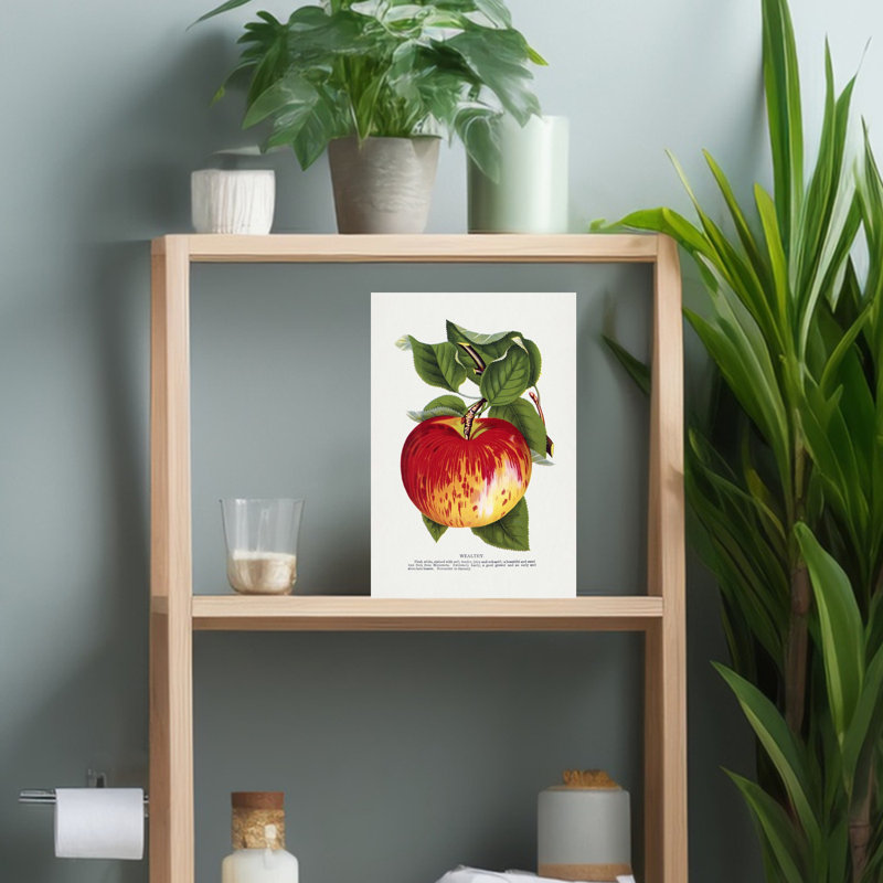 «Wealthy Apple Lithograph Abstract Retro Vintage Flower Landscape», art mural, H 18 po x l 12 po