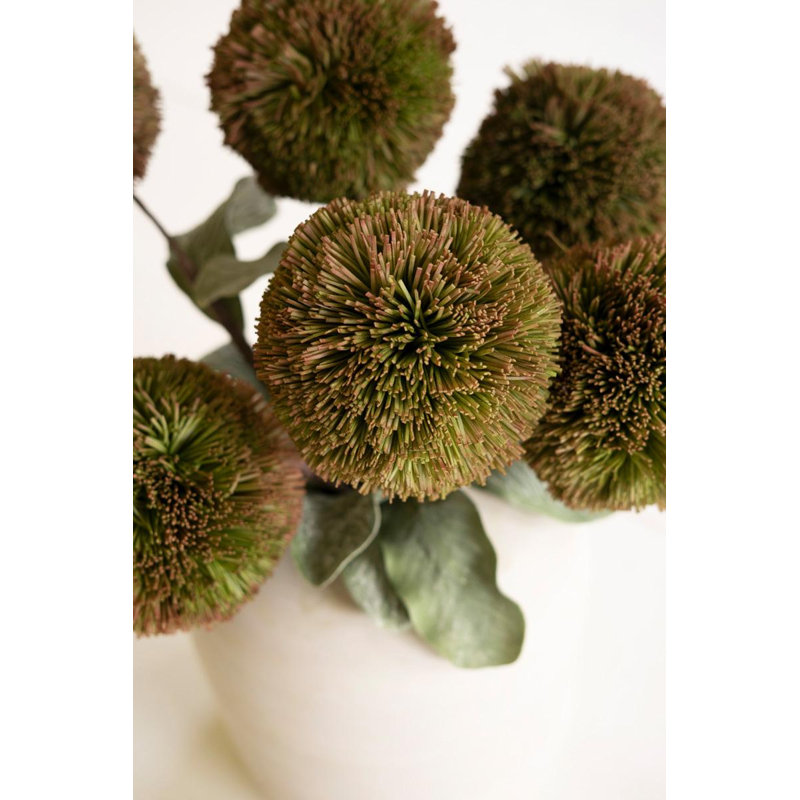 BOTANICA # 3620
