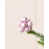 Pink is out of stock selected