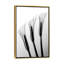 Callas I par Hong Pham - reproduction de photo-53128233-49902681
