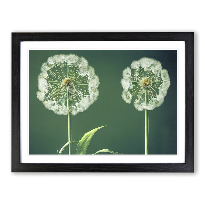 Inspiring Dandelion Flowers - Single Picture Frame Print, 46cm H x 64cm W x 2cm D, Black