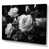 Wrapped Canvas