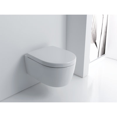 Wall Hung Toilet with soft close seat
