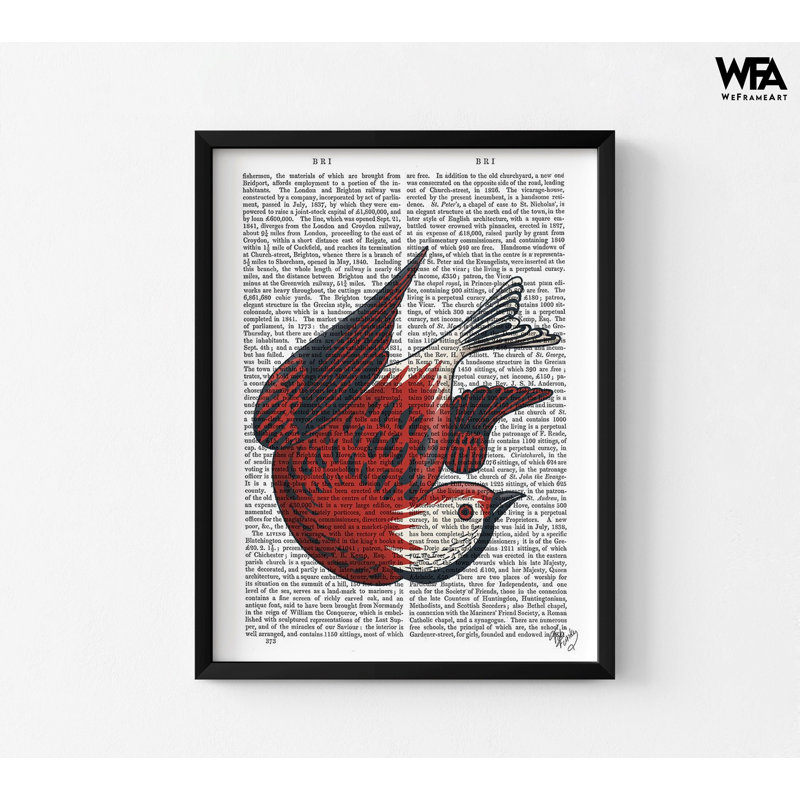 Reproduction d'oiseau rouge par Fab Funky, Noir, noir, noir, noir, Reproduction encadrée sans passe-partout