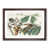 Walnut Framed selected