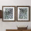 Zen Succulent III - ensemble de 2 reproductions de photos encadrées-998432676-998364407-998432600