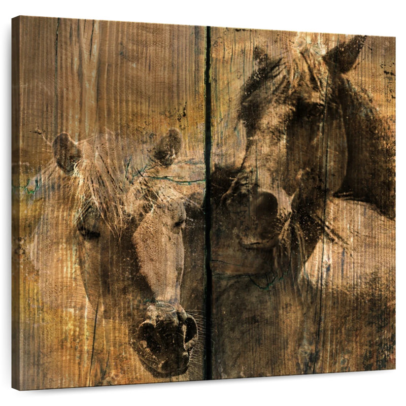 Chevaux gris anthracite