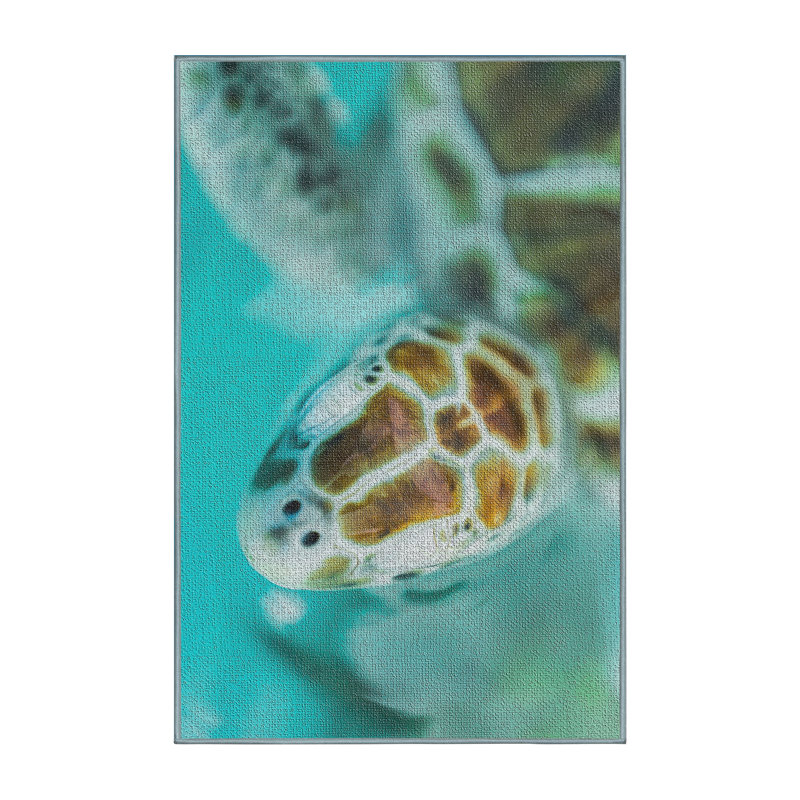 Tapis bleu sarcelle Turtle, Rectangle 3 pi x 5 pi
