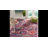 Chana Performance Geometric Rug-19263101