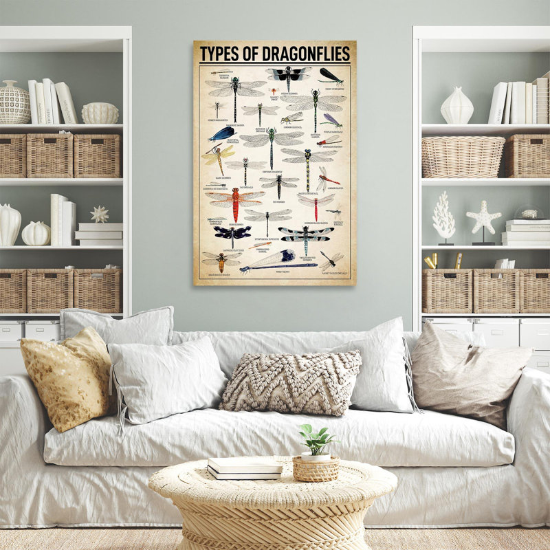 " Types Of Dragonflies Dragonfly Knowledge ", 20" H x 16" W x 1.25" D