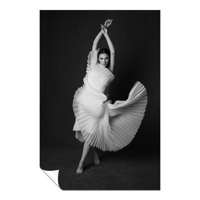 Woman In Swan Dress Artistic - No Frame Print