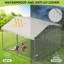 Dog House