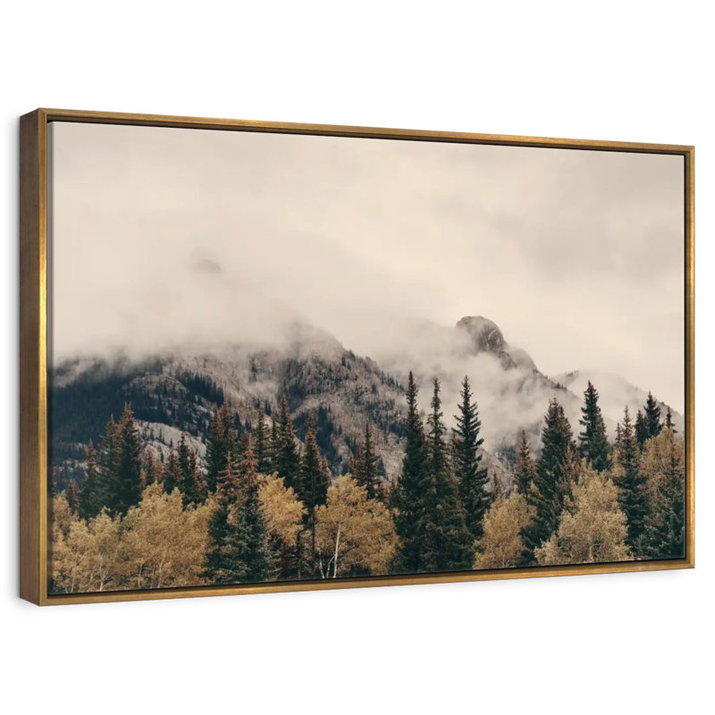 Foggy Banff National Park, Cadre flottant doré, 43 po x 29 po