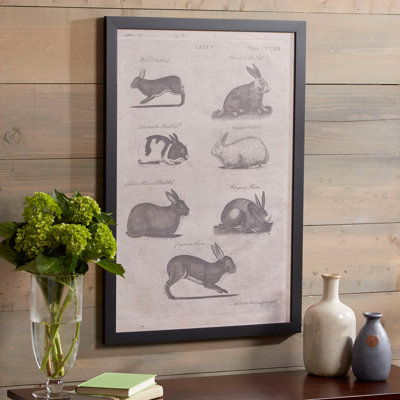«Rabbit Study», reproduction encadrée