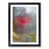 Black Framed selected